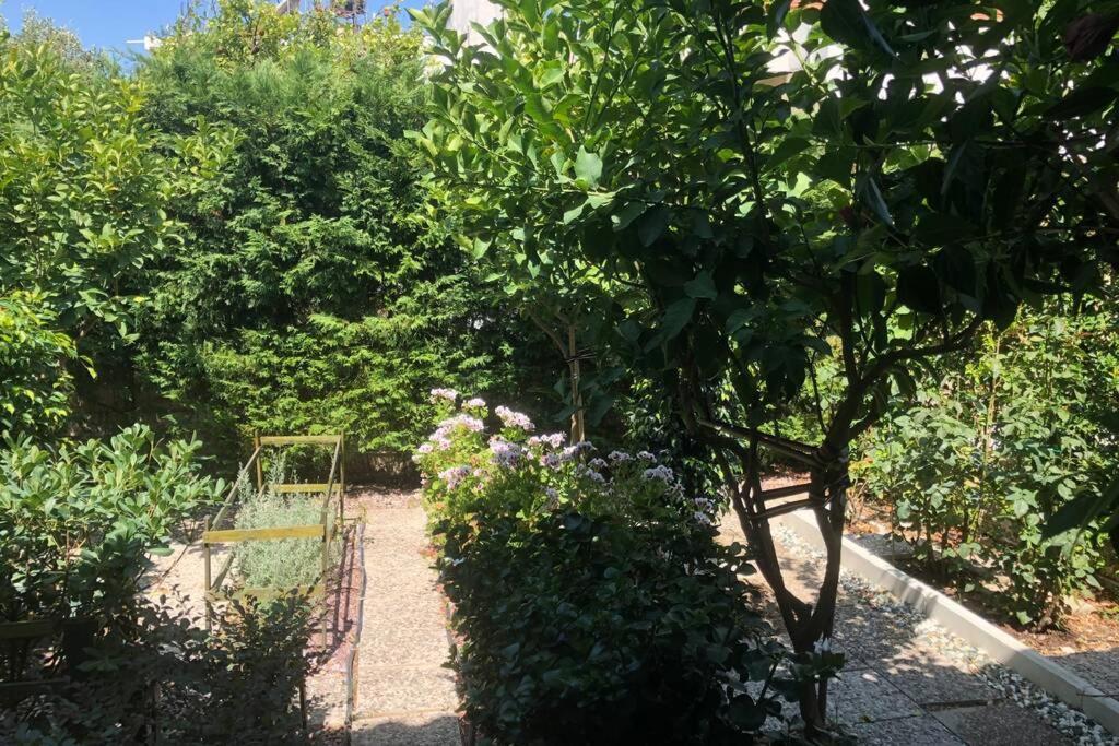 Hébergement de vacances ανακαινισμενη μονοκατοικια 125 τμ στο κεντρο με κηπο *